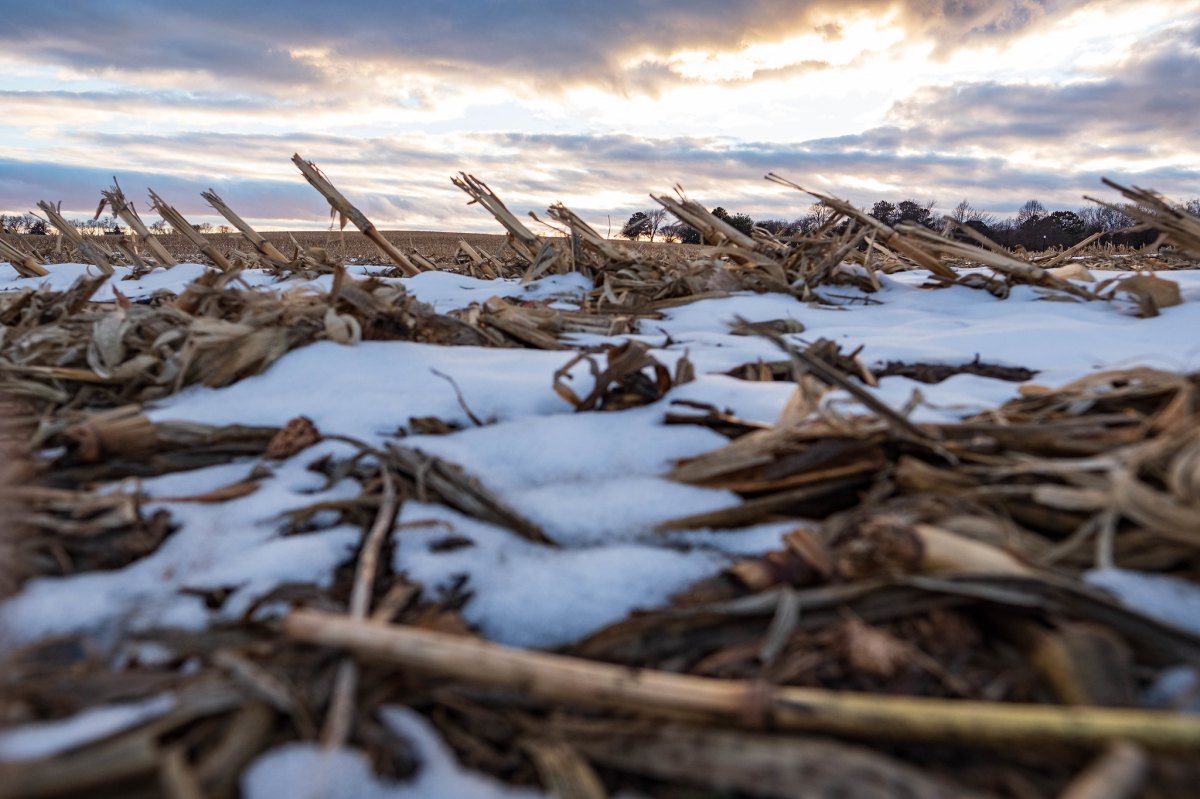 Week Three: Get Low&nbsp;(Lydia)